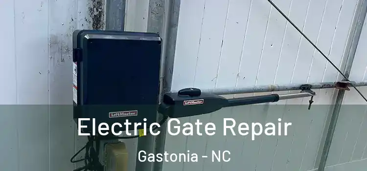 Electric Gate Repair Gastonia - NC