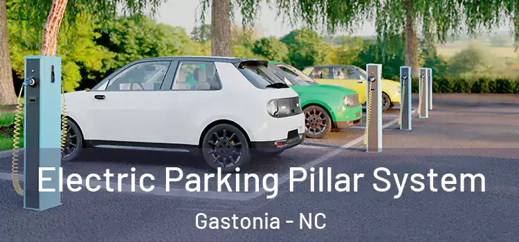 Electric Parking Pillar System Gastonia - NC
