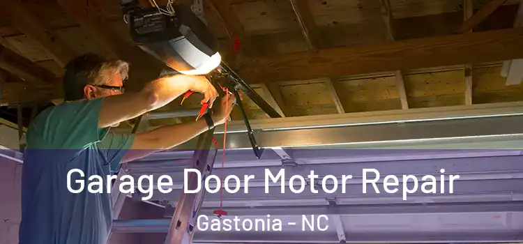 Garage Door Motor Repair Gastonia - NC