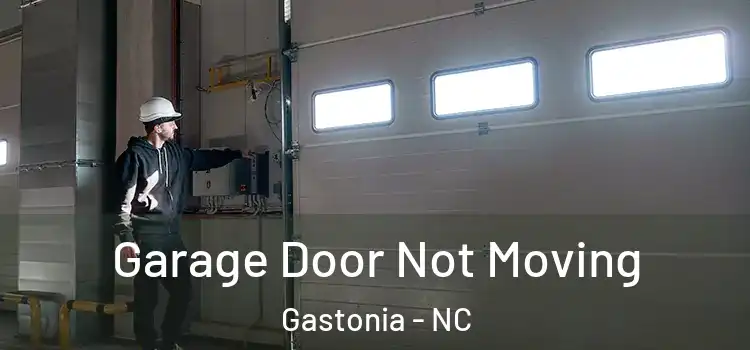  Garage Door Not Moving Gastonia - NC