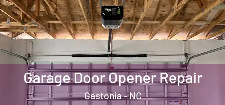  Garage Door Opener Repair Gastonia - NC