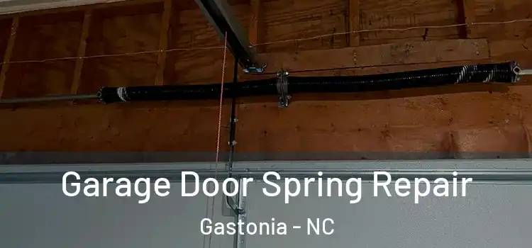  Garage Door Spring Repair Gastonia - NC