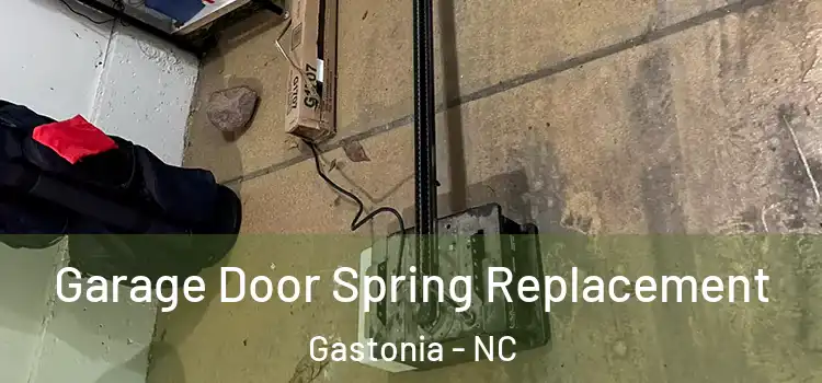  Garage Door Spring Replacement Gastonia - NC