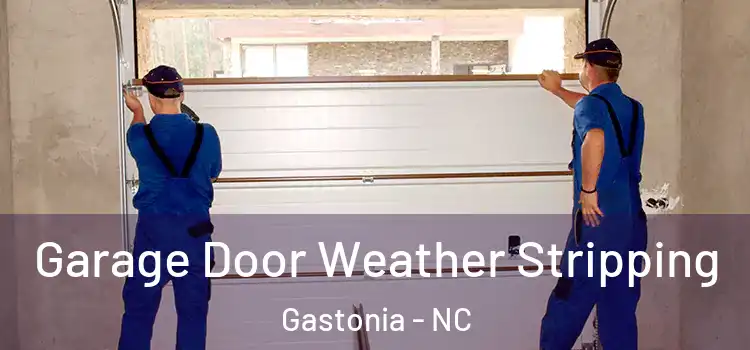  Garage Door Weather Stripping Gastonia - NC