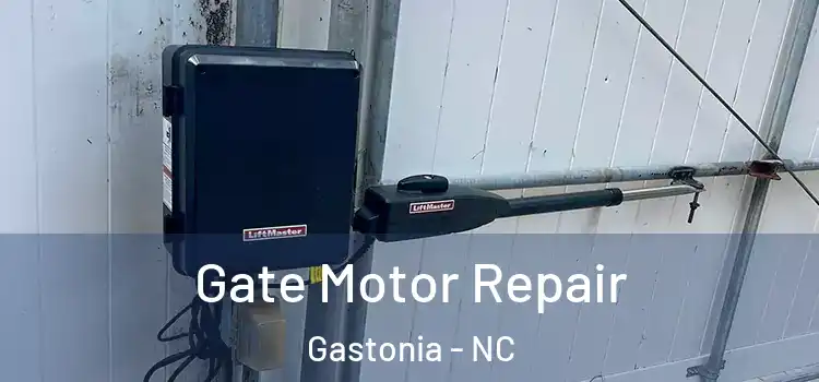 Gate Motor Repair Gastonia - NC