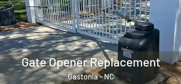  Gate Opener Replacement Gastonia - NC