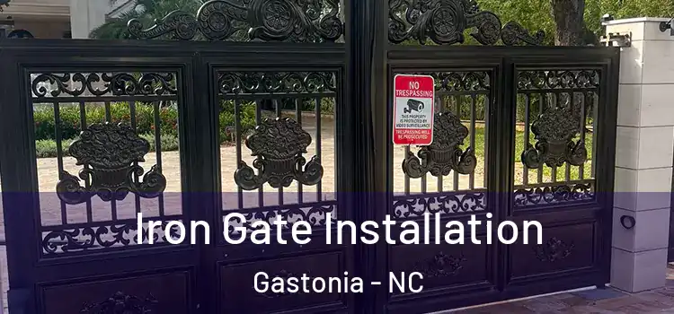  Iron Gate Installation Gastonia - NC