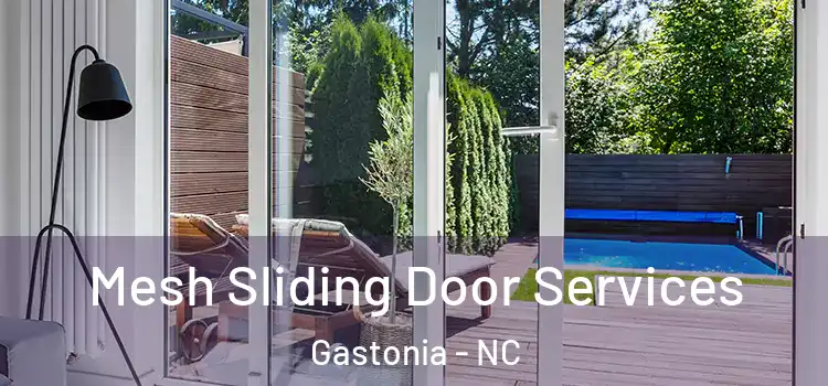 Mesh Sliding Door Services Gastonia - NC