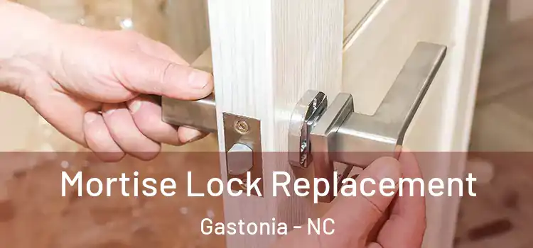  Mortise Lock Replacement Gastonia - NC