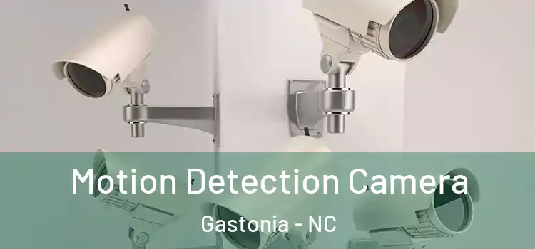 Motion Detection Camera Gastonia - NC