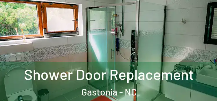  Shower Door Replacement Gastonia - NC
