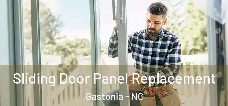  Sliding Door Panel Replacement Gastonia - NC