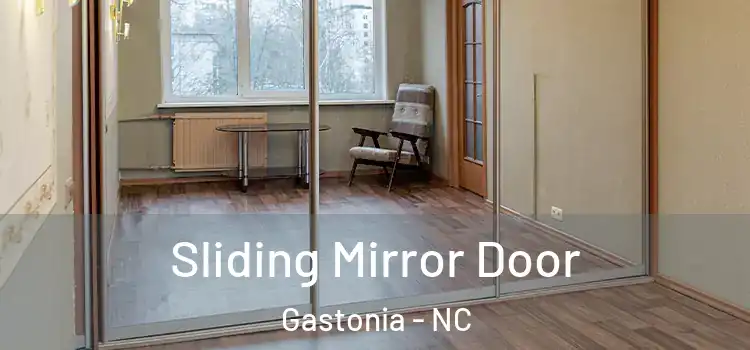 Sliding Mirror Door Gastonia - NC